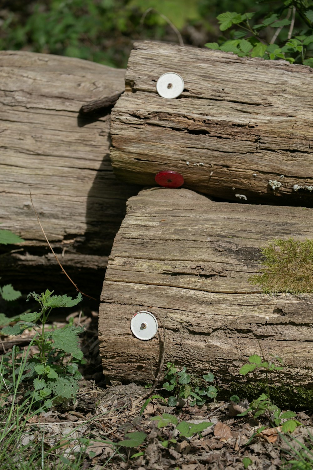 a close up of some wood with holes in it