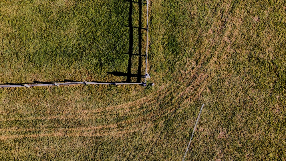 a train traveling through a lush green countryside