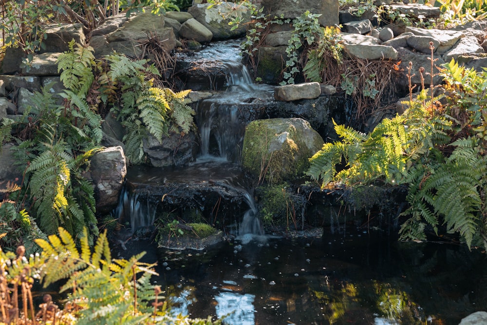 a small waterfall in the middle of a garden