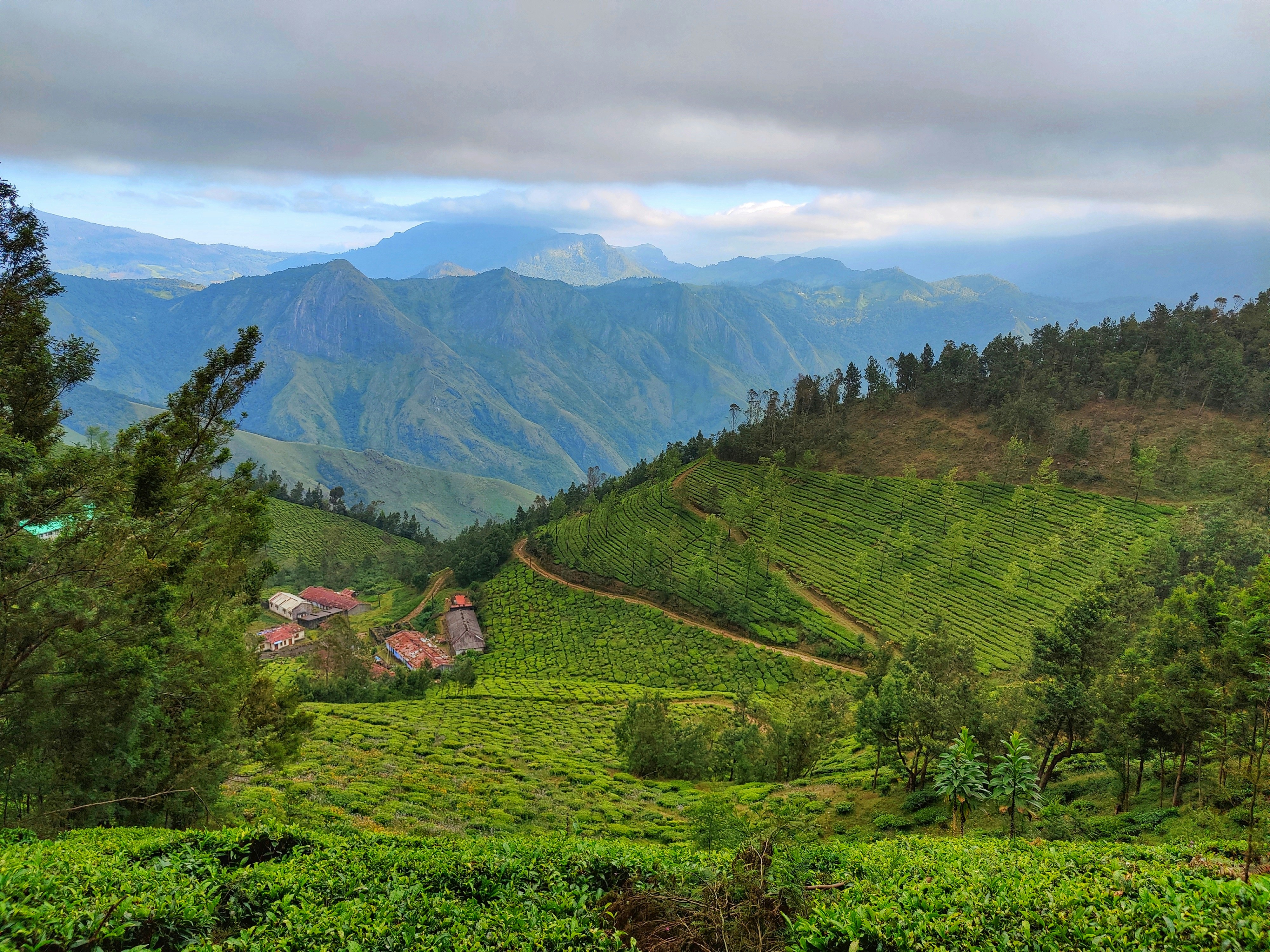 Photo by shifaz_abdul