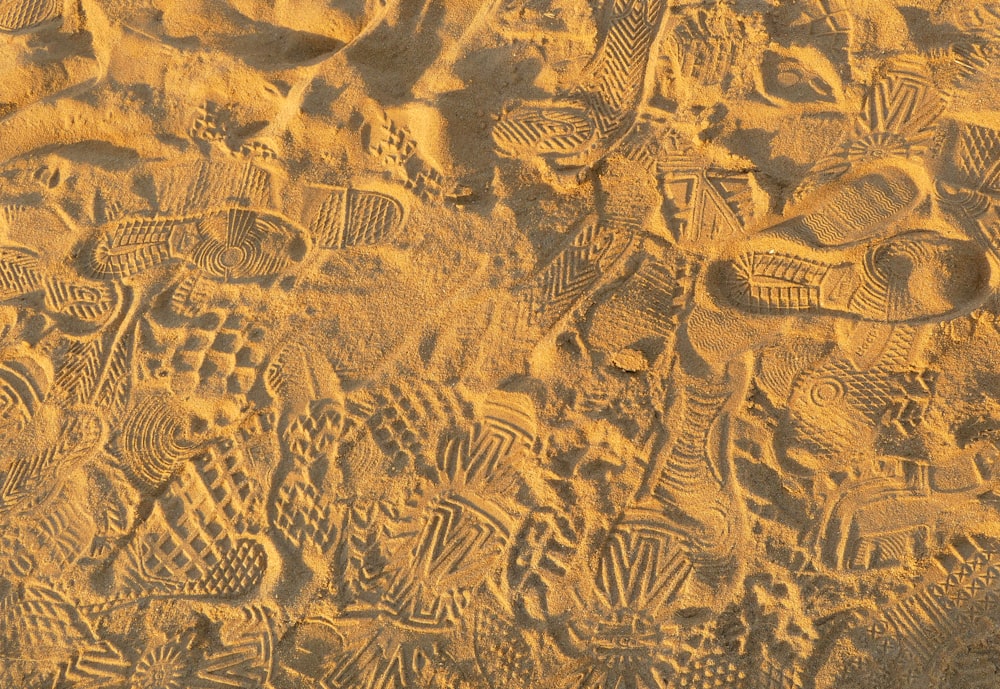 footprints in the sand of a sandy beach