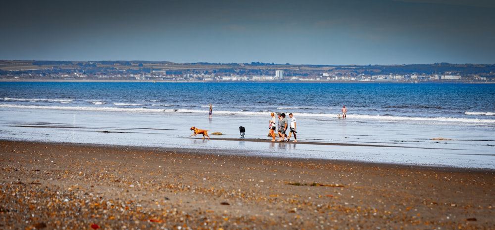 a group of people standing on top of a sandy beach