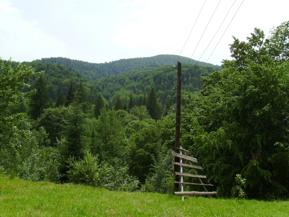 무성한 녹색 언덕 위에 앉아있는 나무 벤치