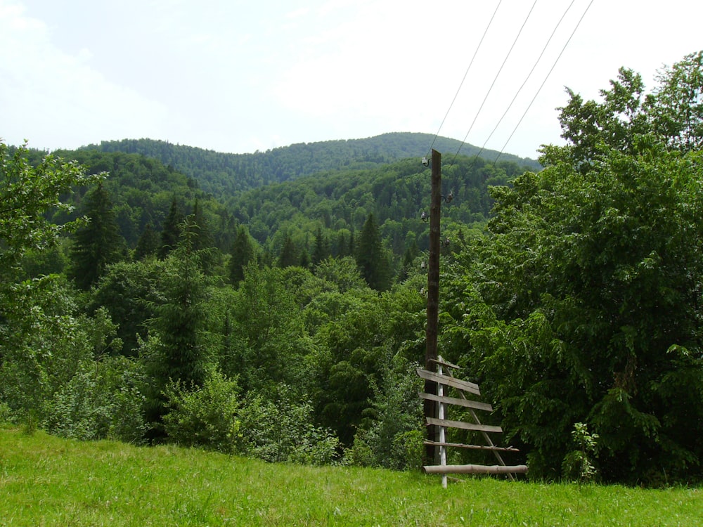 a wooden bench sitting on top of a lush green hillside