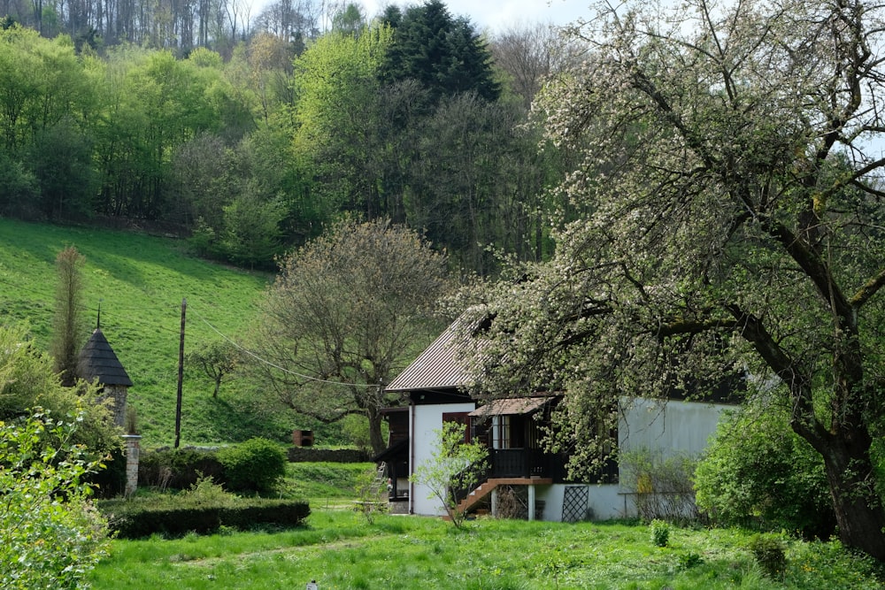 a house in the middle of a lush green field
