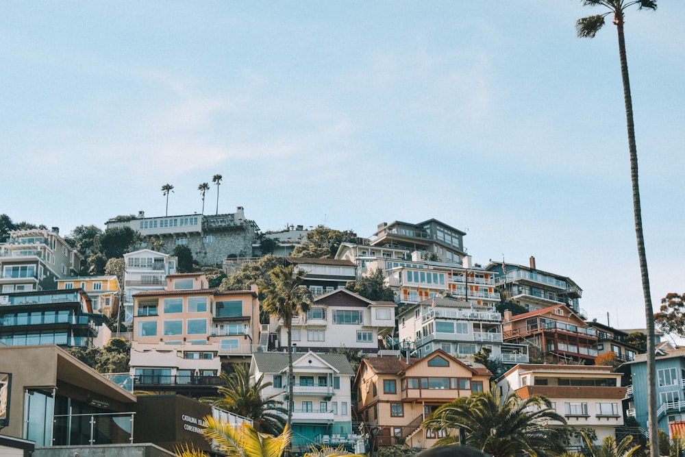 a hill with a bunch of houses on top of it