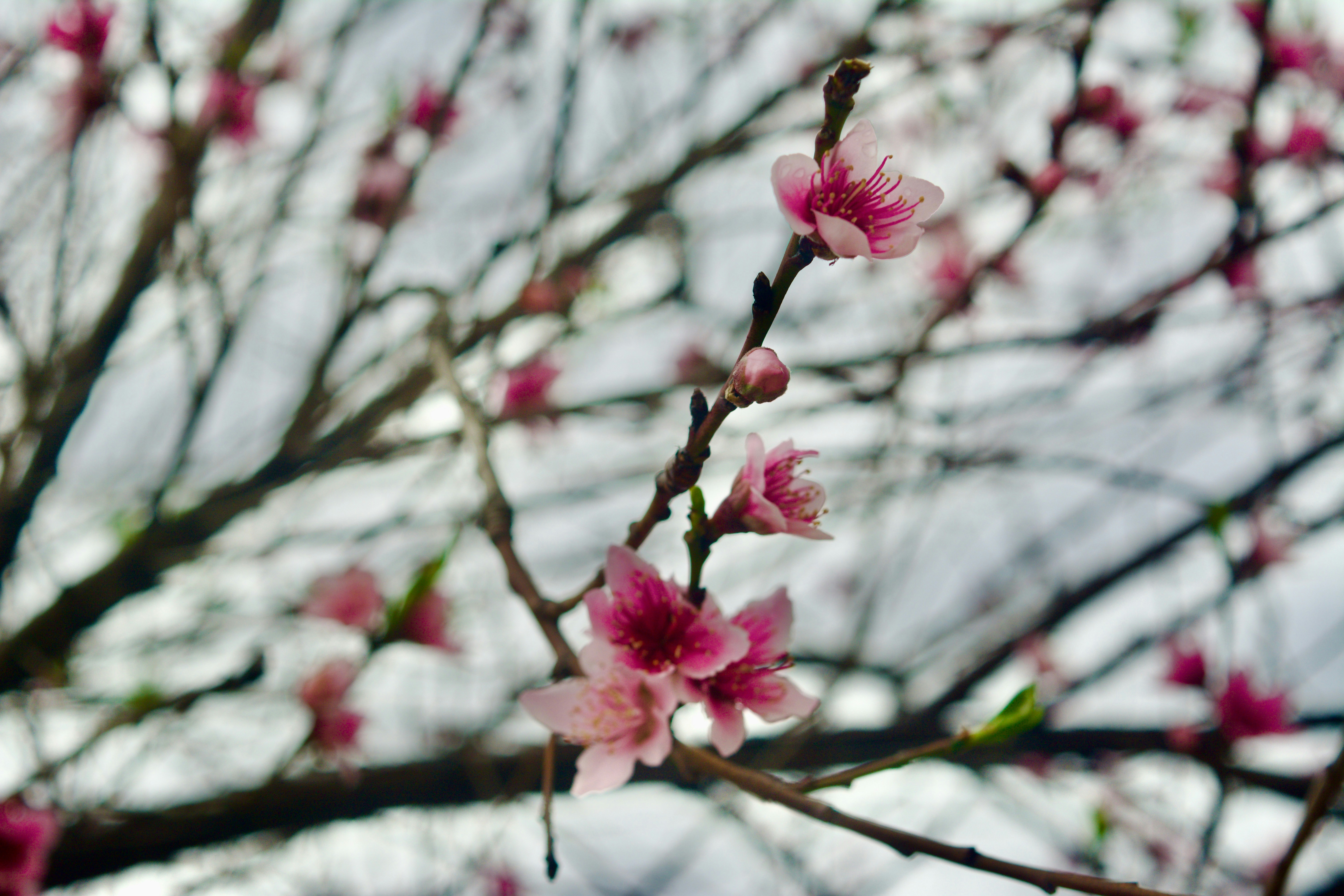 Photo by bymiyashiro