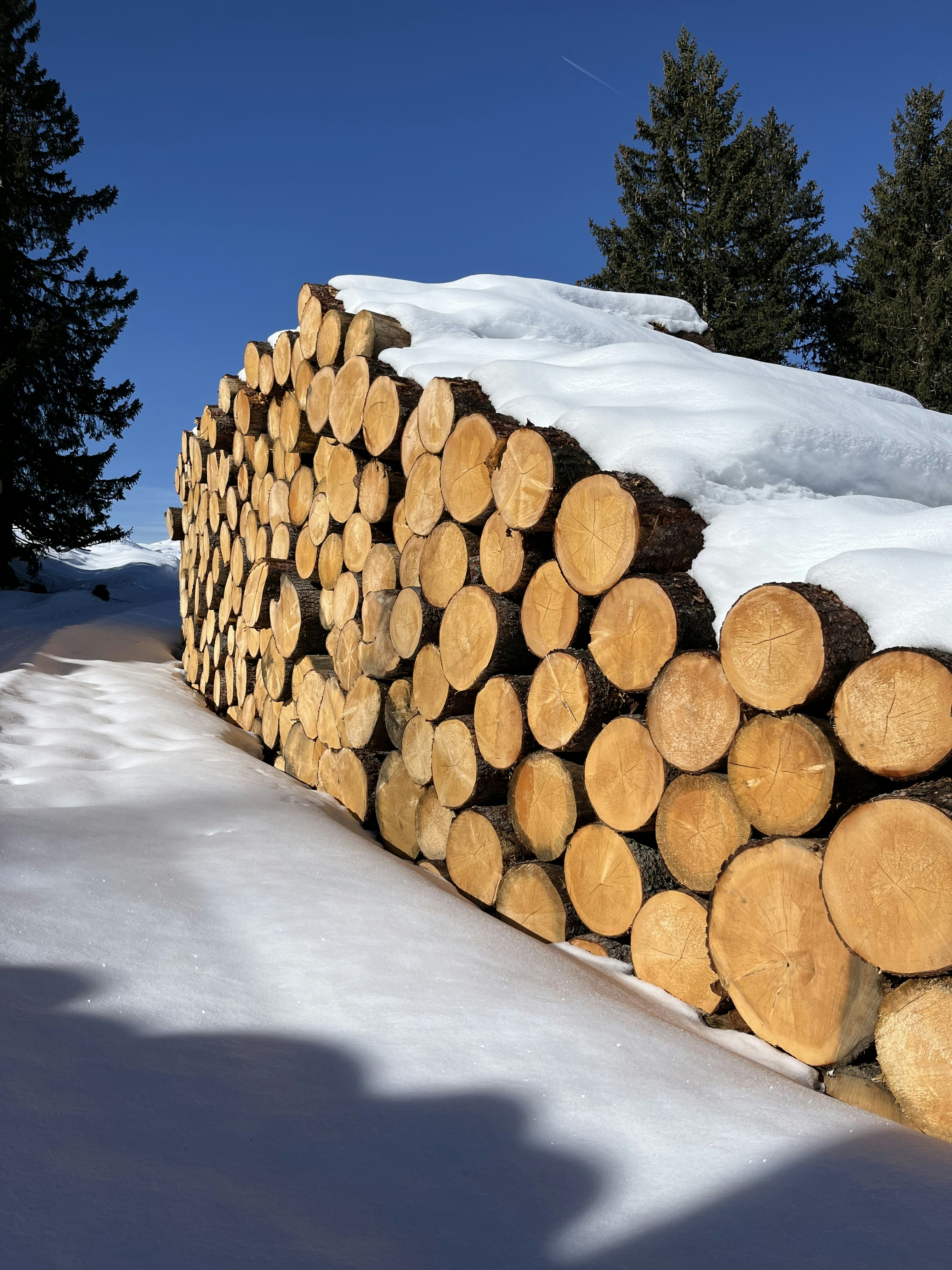 photo 1713030341997 ea04fdeb771c?ixid=M3w1ODkyNzF8MHwxfHNlYXJjaHw0fHxsaWdodHdlaWdodCUyMHRpbWJlciUyMGNvbnN0cnVjdGlvbnxlbnwwfDF8fHwxNzUwNzY0NjgwfDA&ixlib=rb 4.1