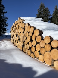 a pile of logs sitting on top of snow covered ground