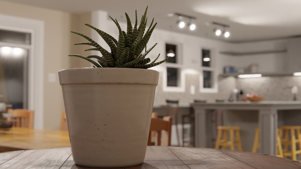 a potted plant sitting on top of a wooden table