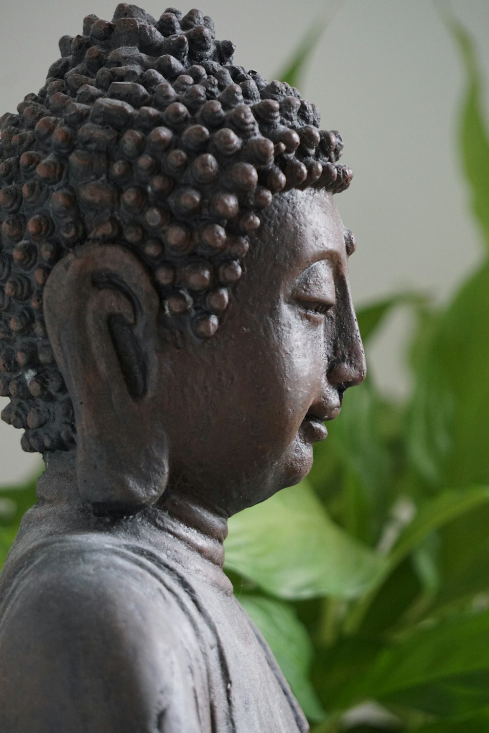 a statue of a buddha with a plant in the background