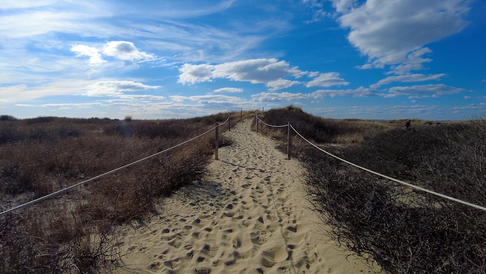 a path in the sand leading to the beach