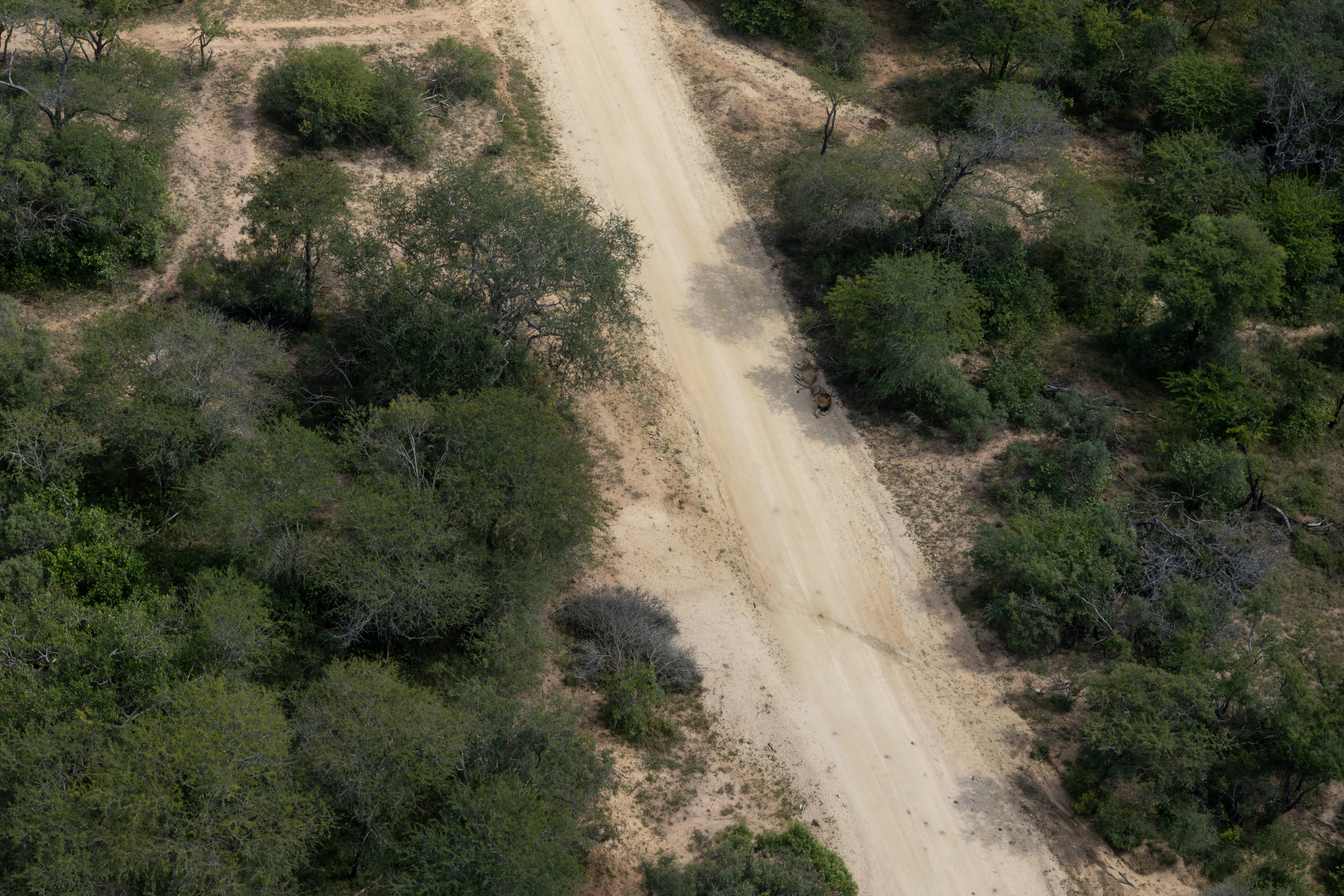 Photo by hendrikprinsza