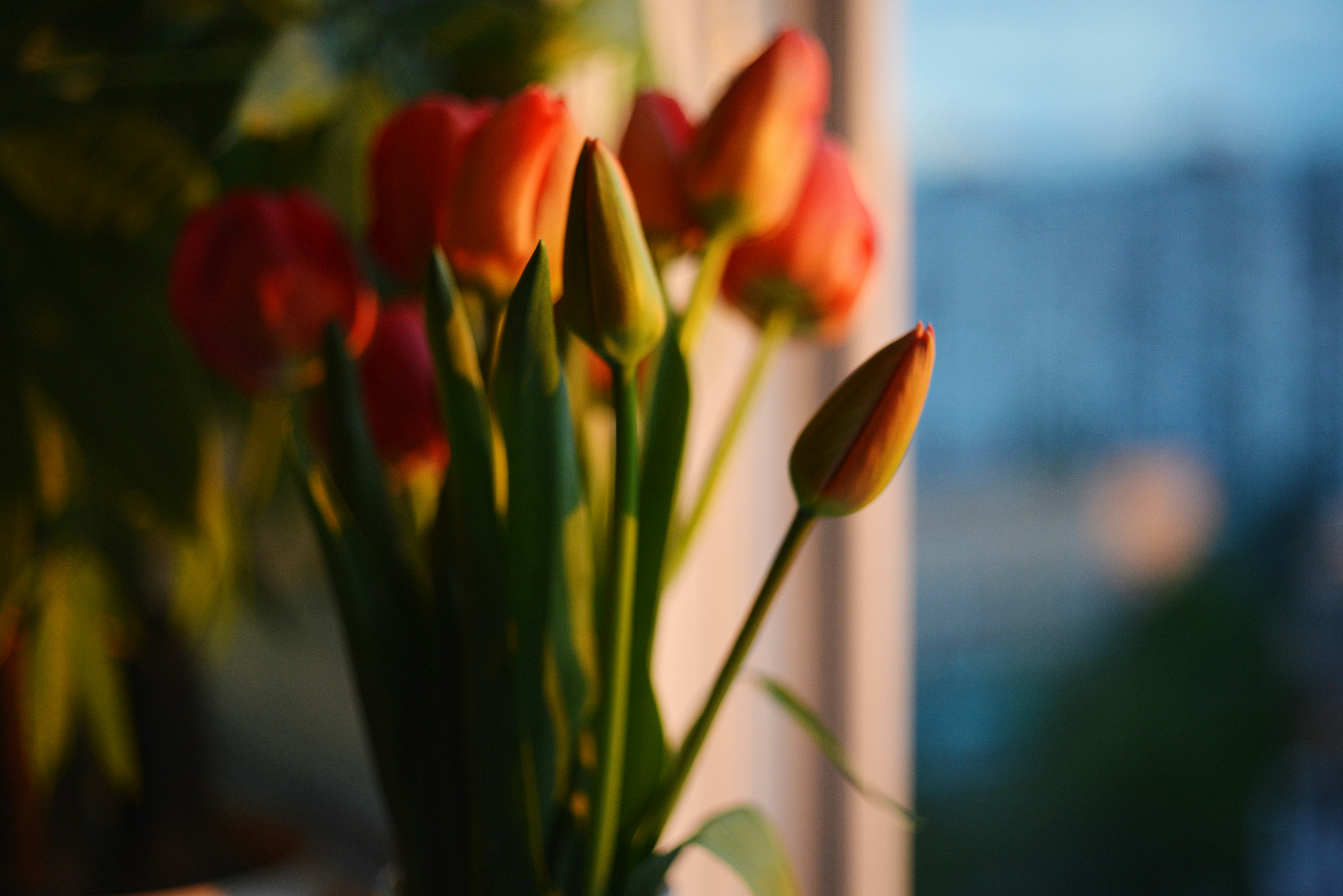 Photo by cherstve_pechivo