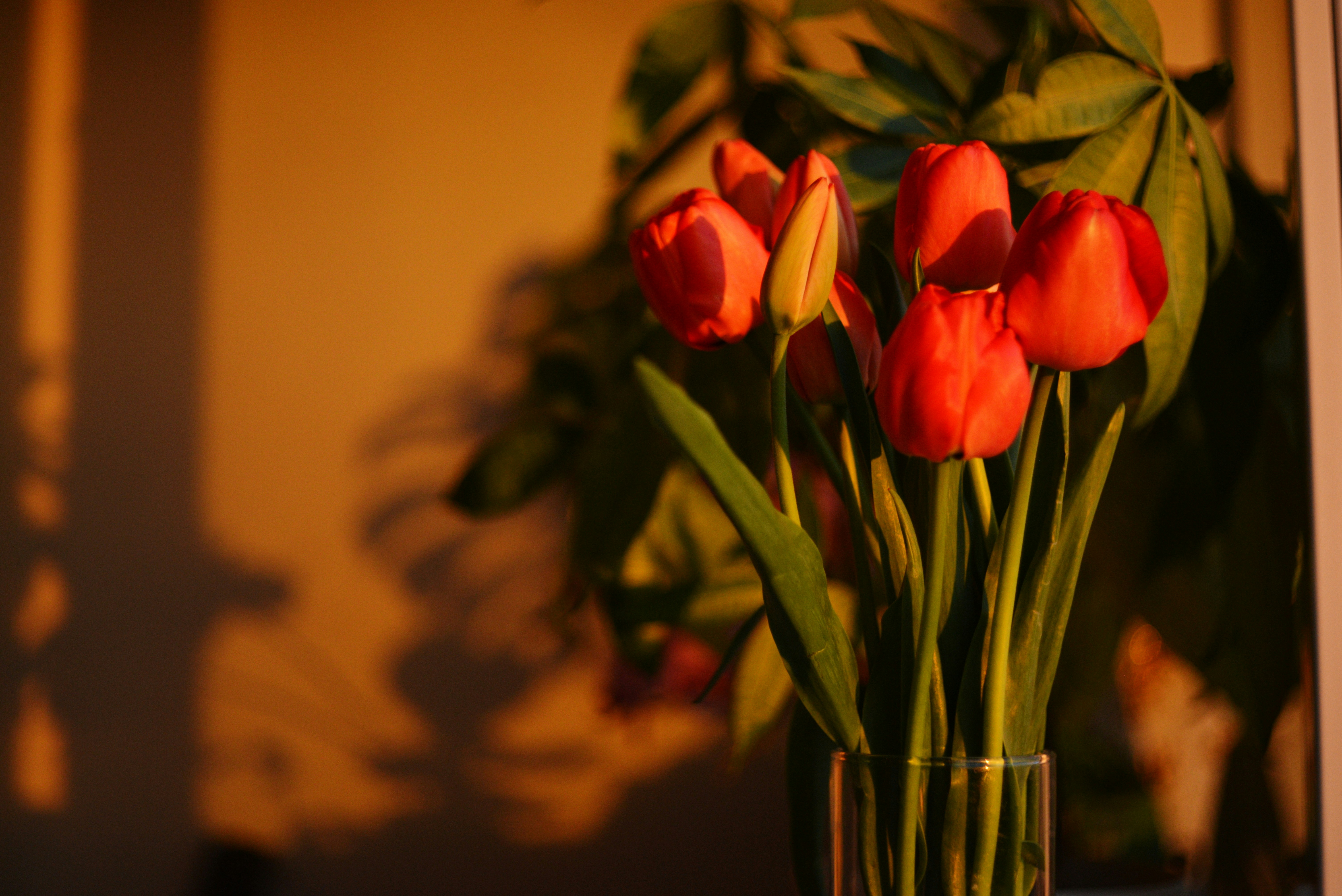 Photo by cherstve_pechivo