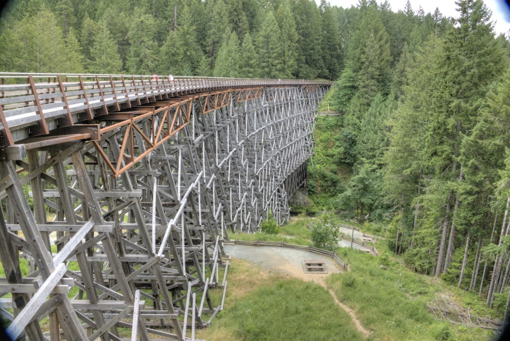 a large metal bridge over a lush green forest