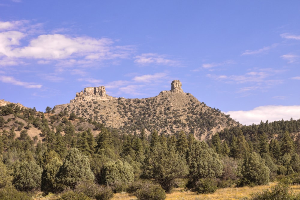 a mountain with trees and a blue sky in the background