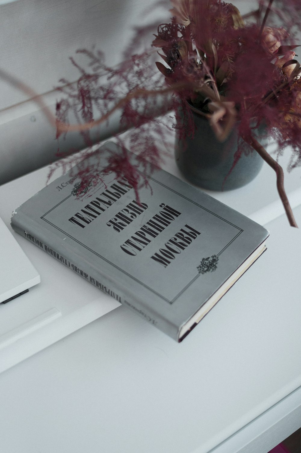 a book sitting on top of a table next to a plant