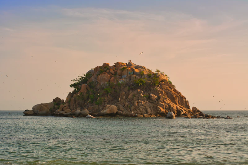 Best Tea Lounges in Acapulco for a Proper Sit-Down Cup