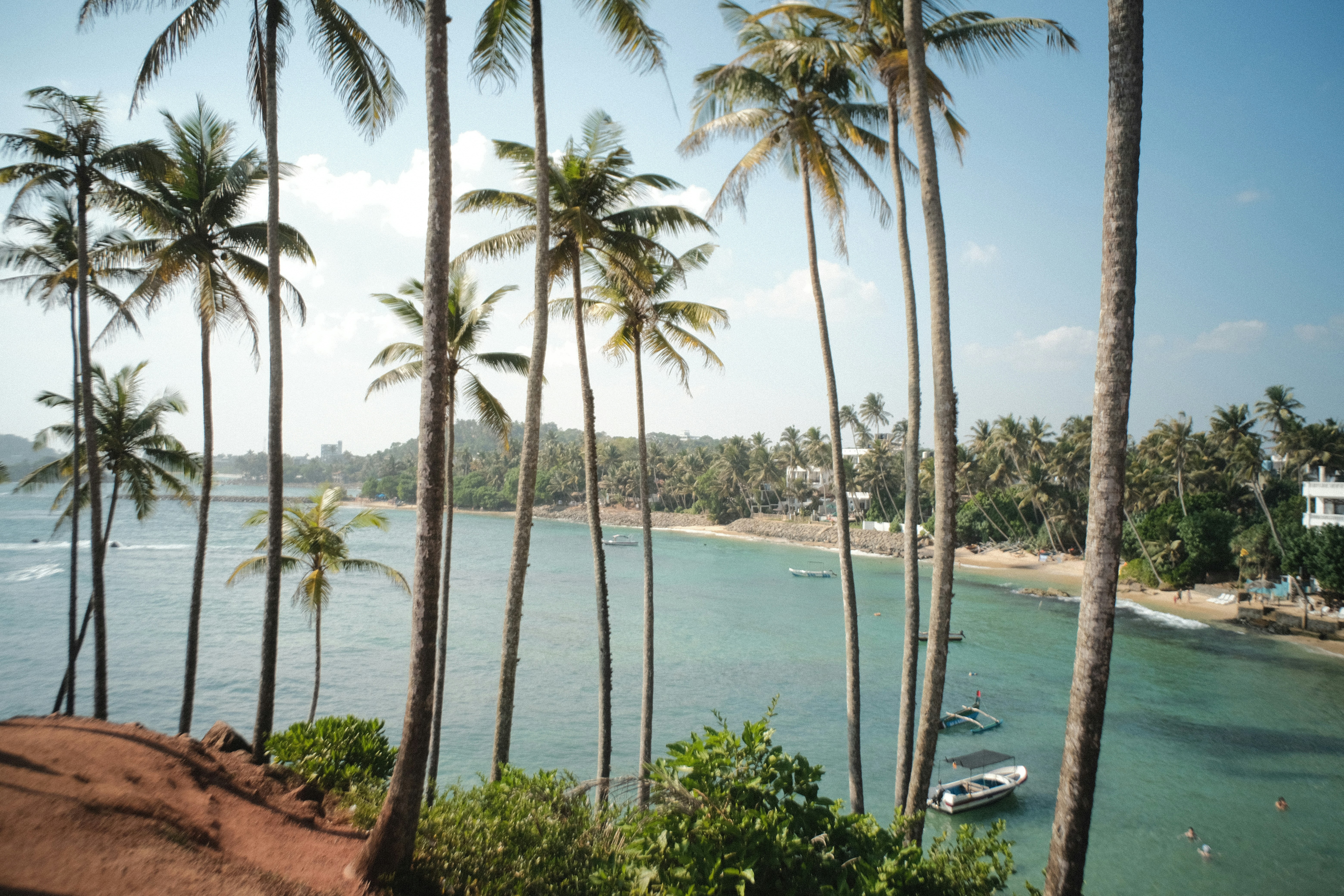 a beach with palm trees and boats in the water, Coconut Tree Hill in Mirissa, Sri Lanka. February 2024. SOOC JPEG. Fuji XT30 with 7artisans 18mm F6.3 II UFO Lens ("disposable camera lens").
