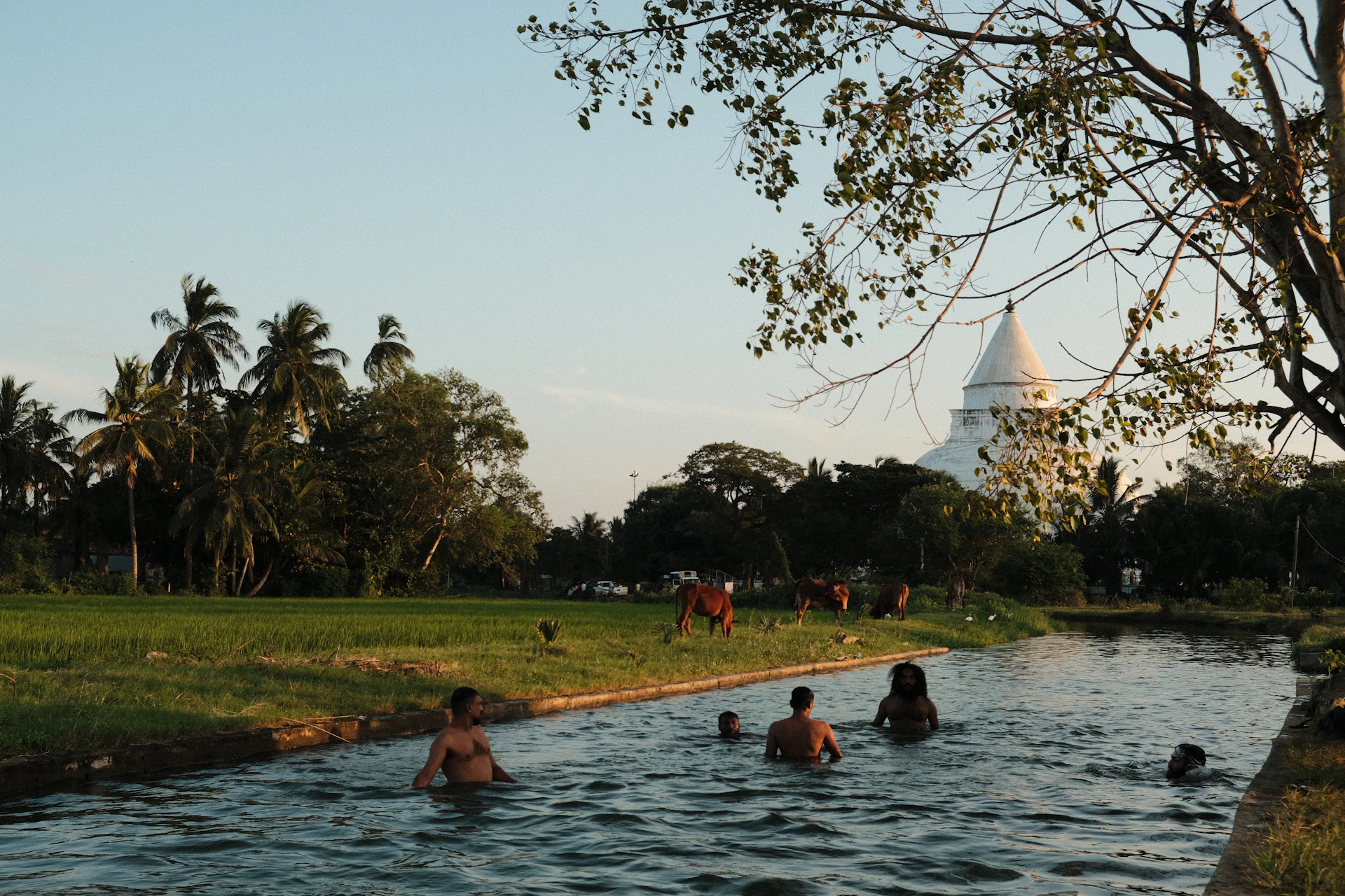 a group of people swimming in a body of water