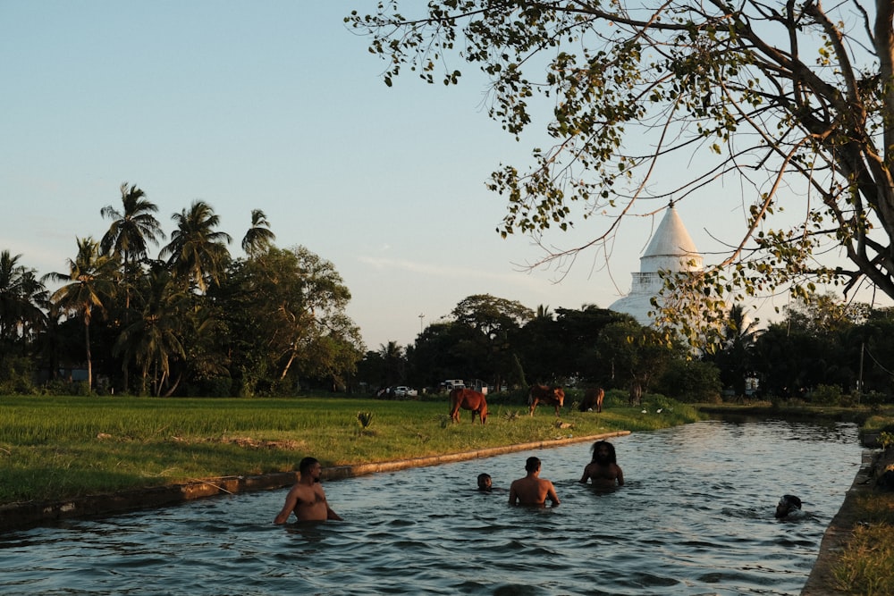 a group of people swimming in a body of water