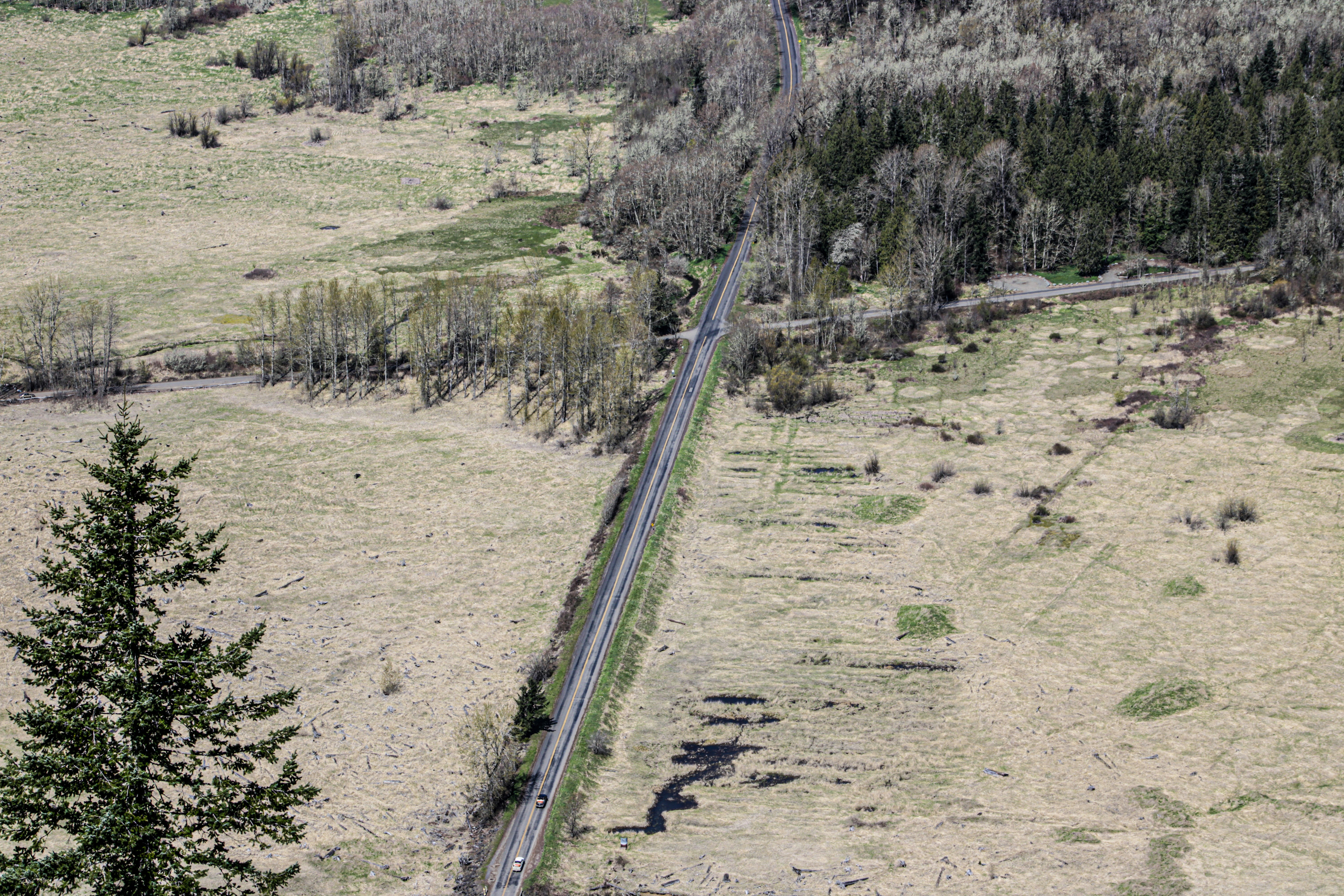 a train traveling through a lush green countryside