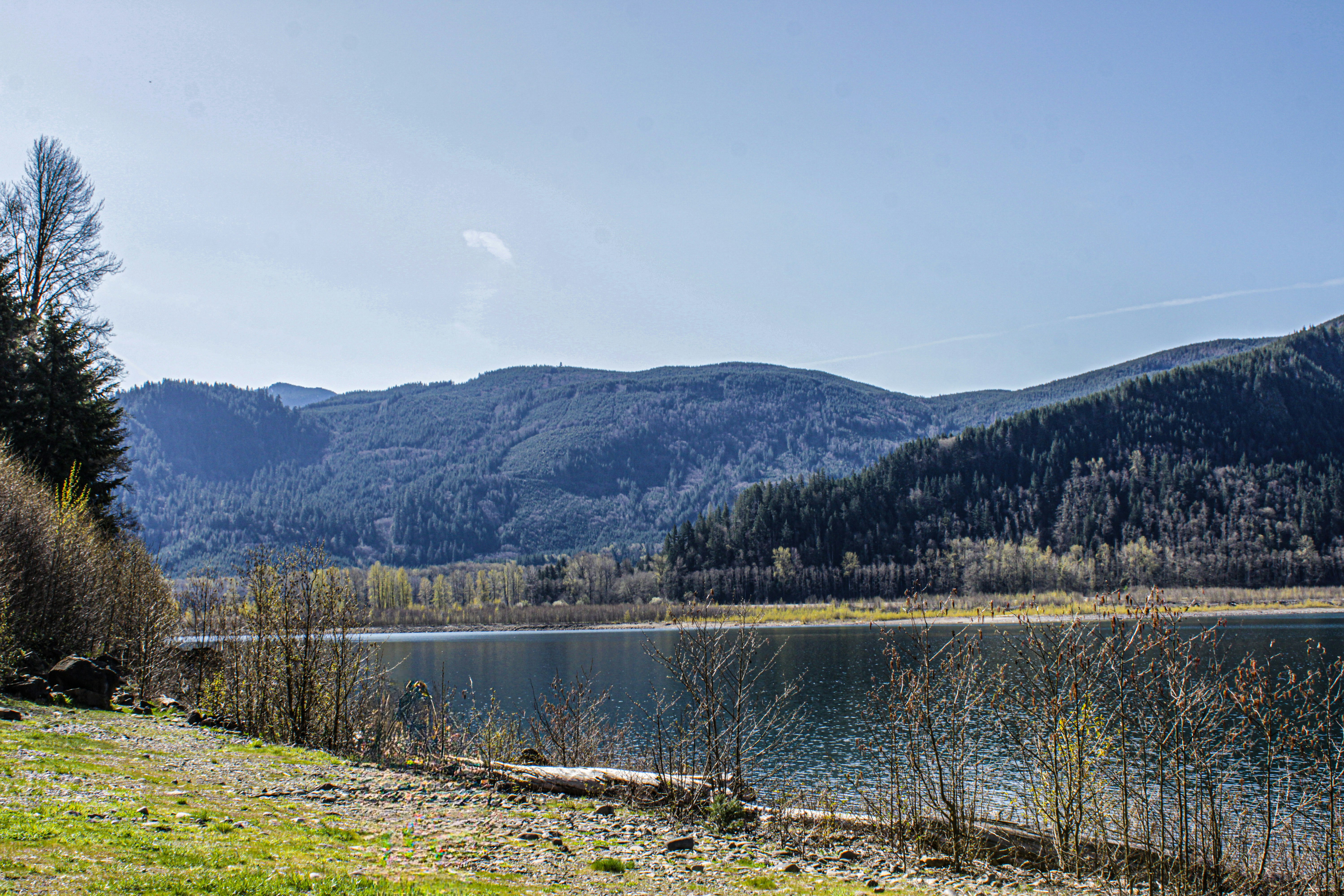 Photo by prphotography262