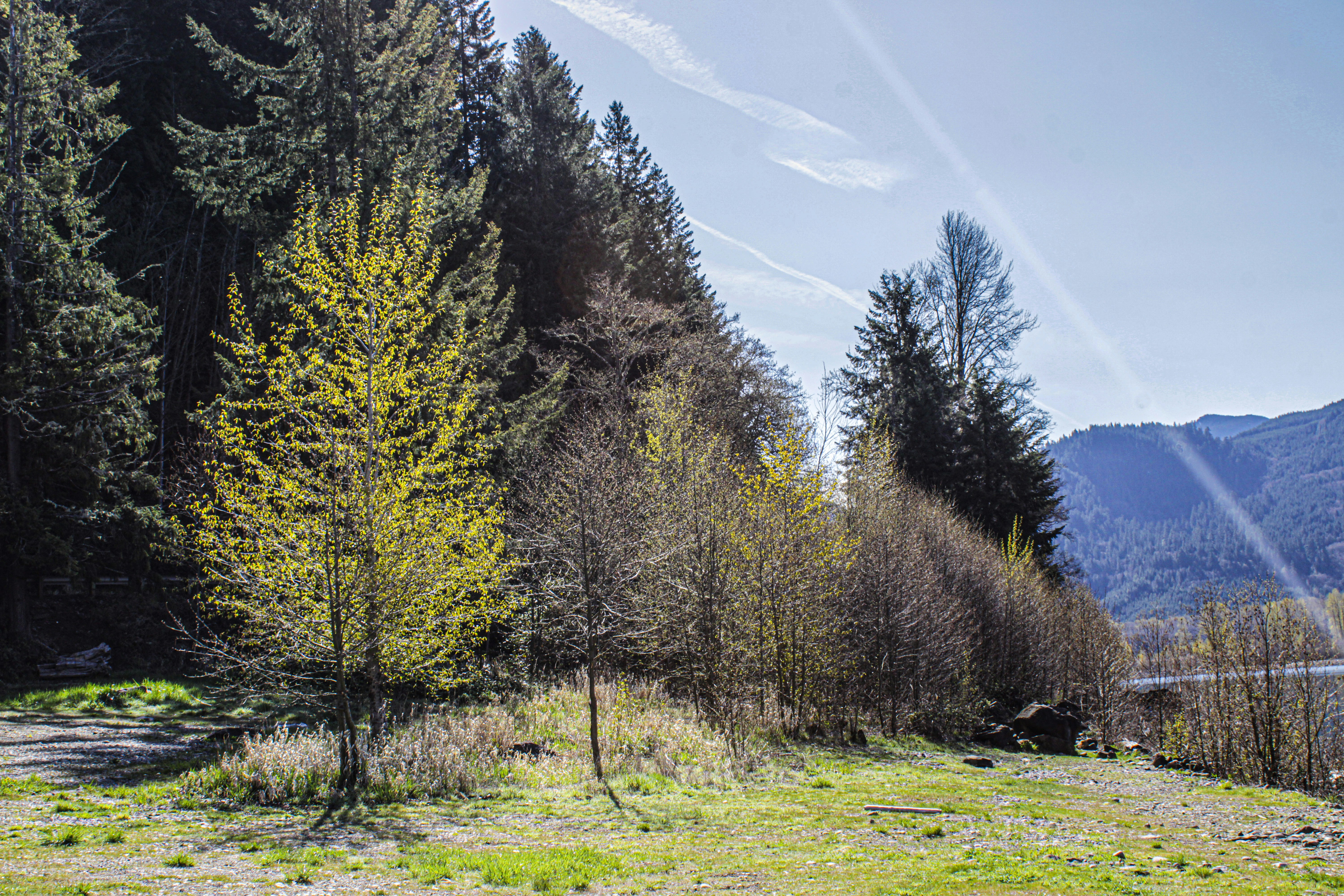 Photo by prphotography262