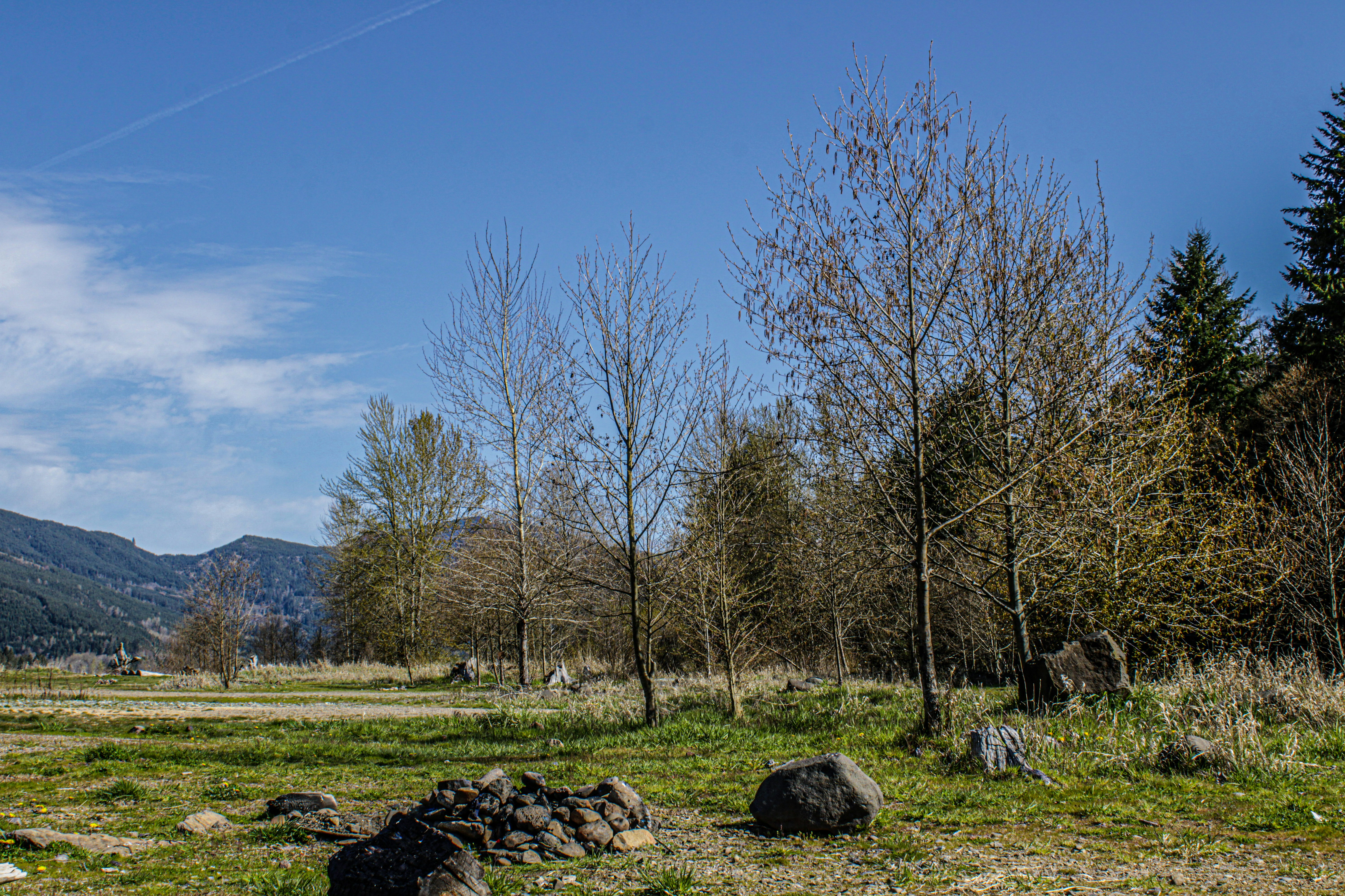 Photo by prphotography262