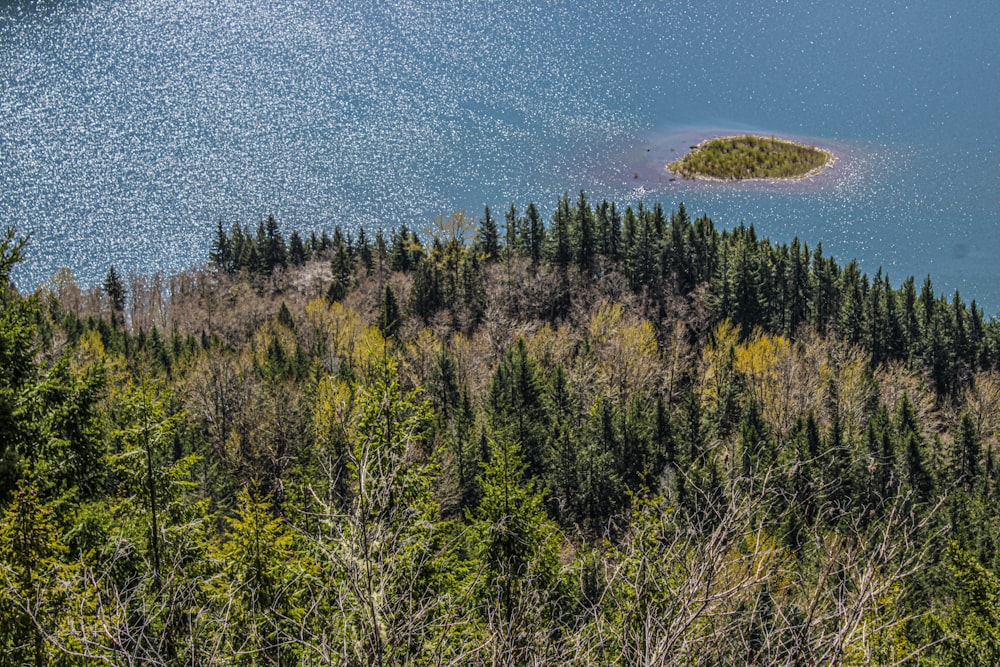 a small island in the middle of a lake surrounded by trees