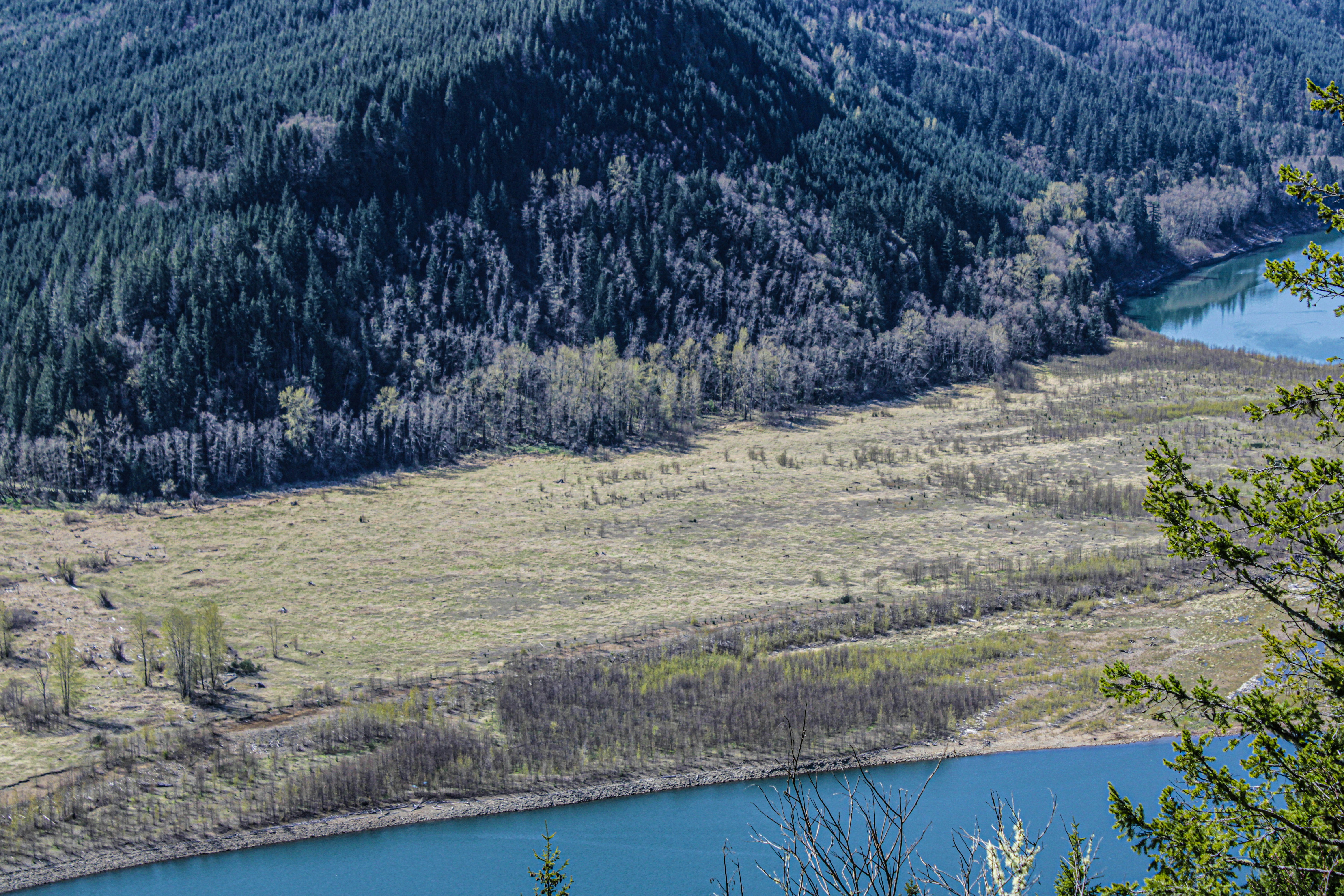 Photo by prphotography262