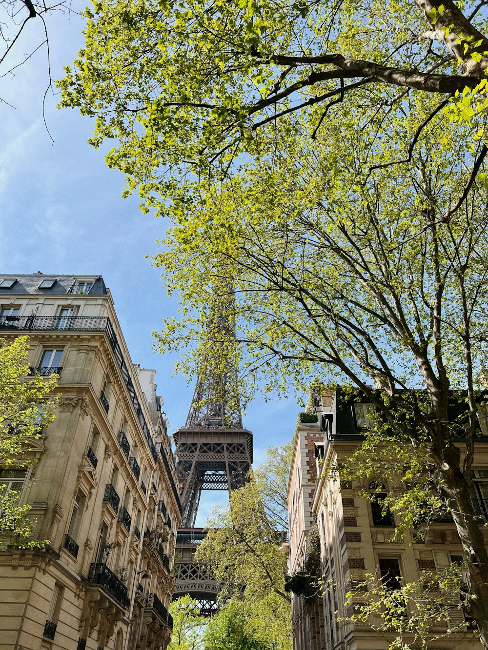 A Torre Eiffel elevando-se sobre a cidade de Paris