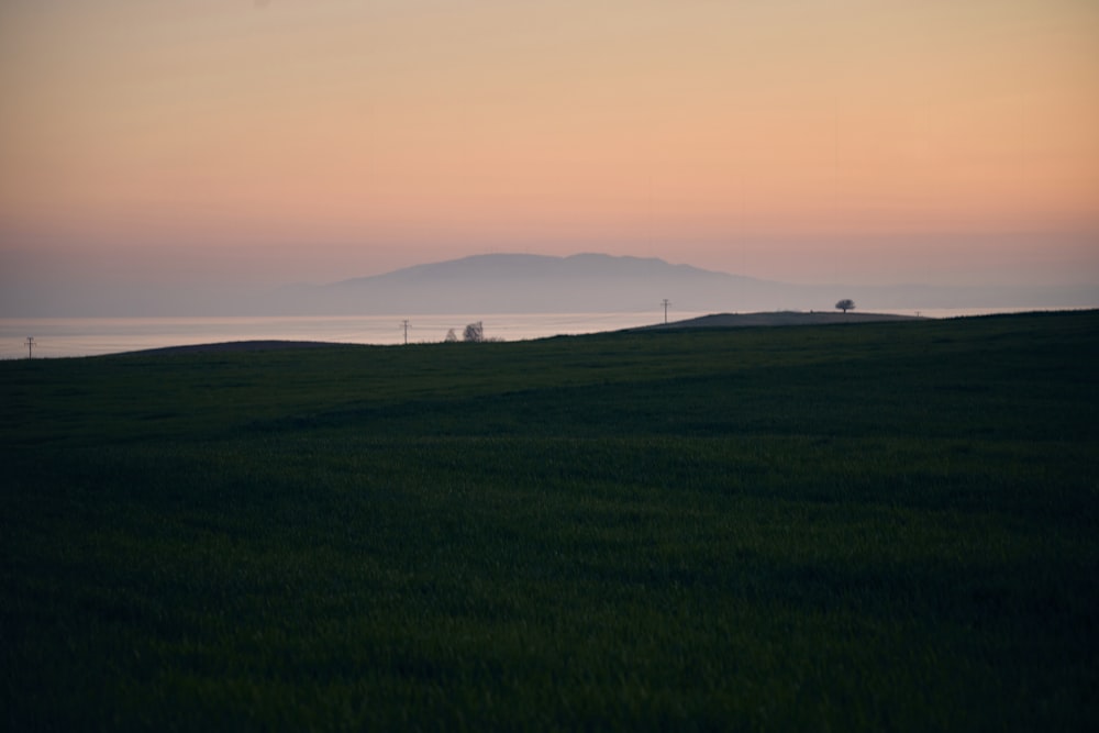 a grassy field with a mountain in the distance