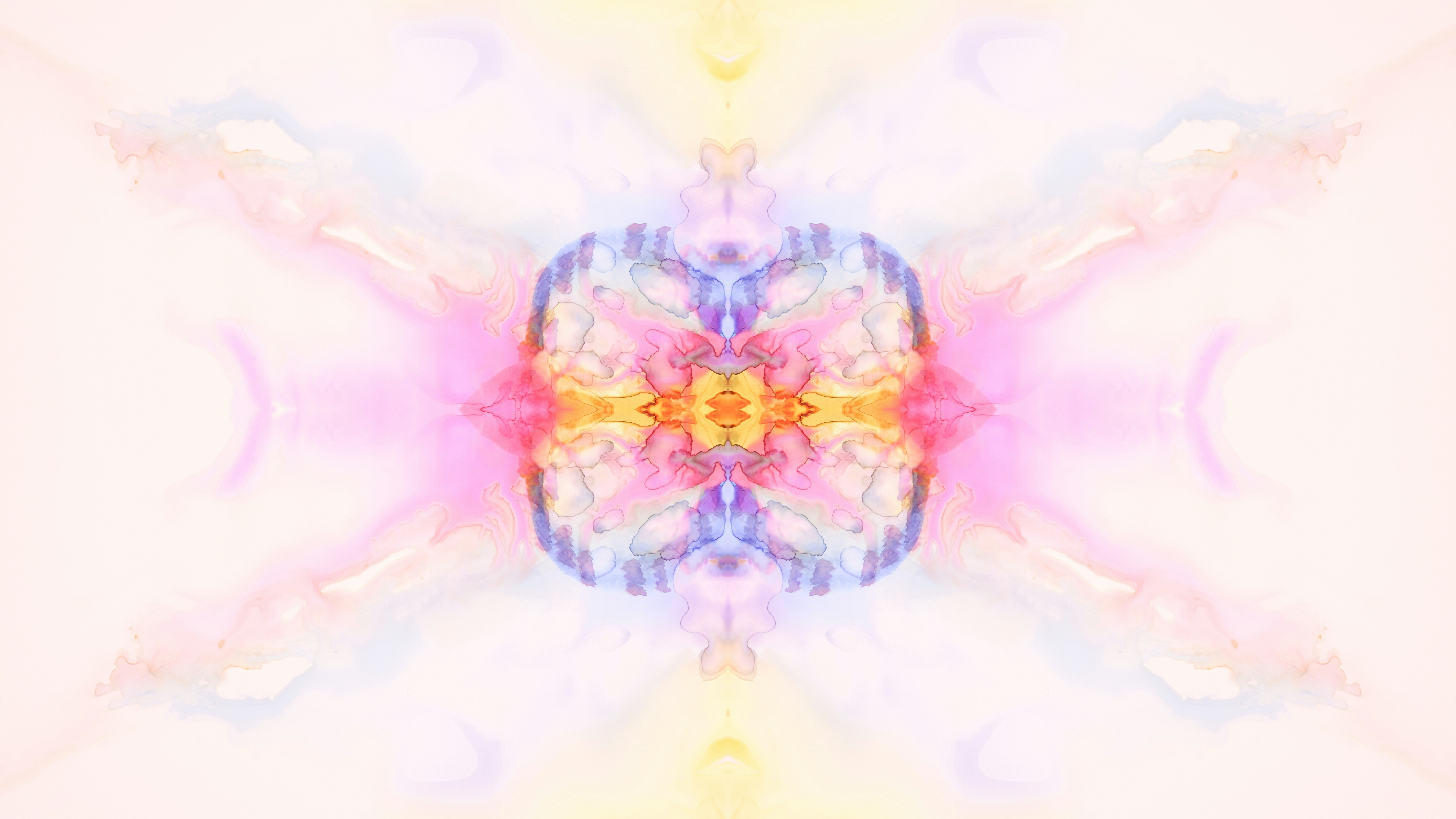 Photo by susan_wilkinson