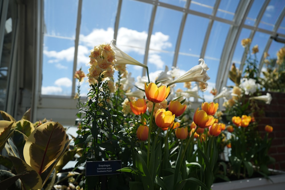 a bunch of flowers that are inside of a building