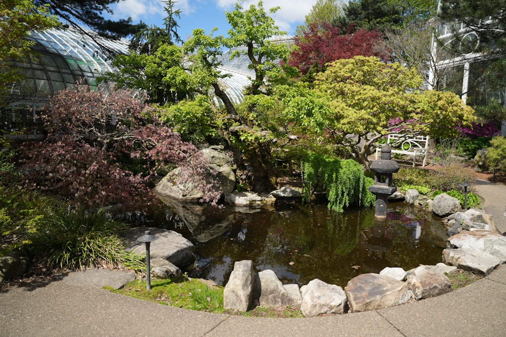 a small pond surrounded by rocks and trees