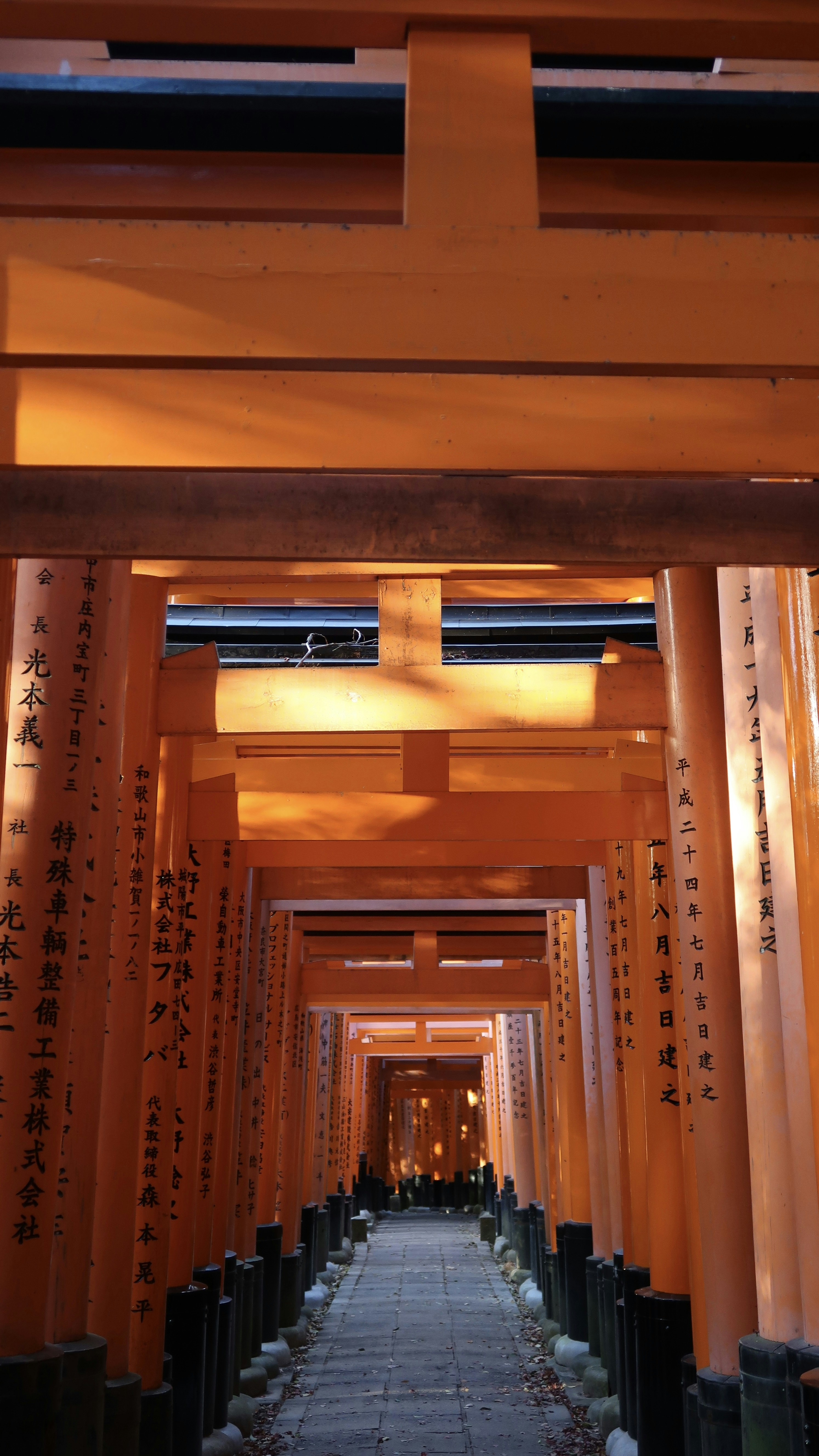 Photo by raquelbolas_