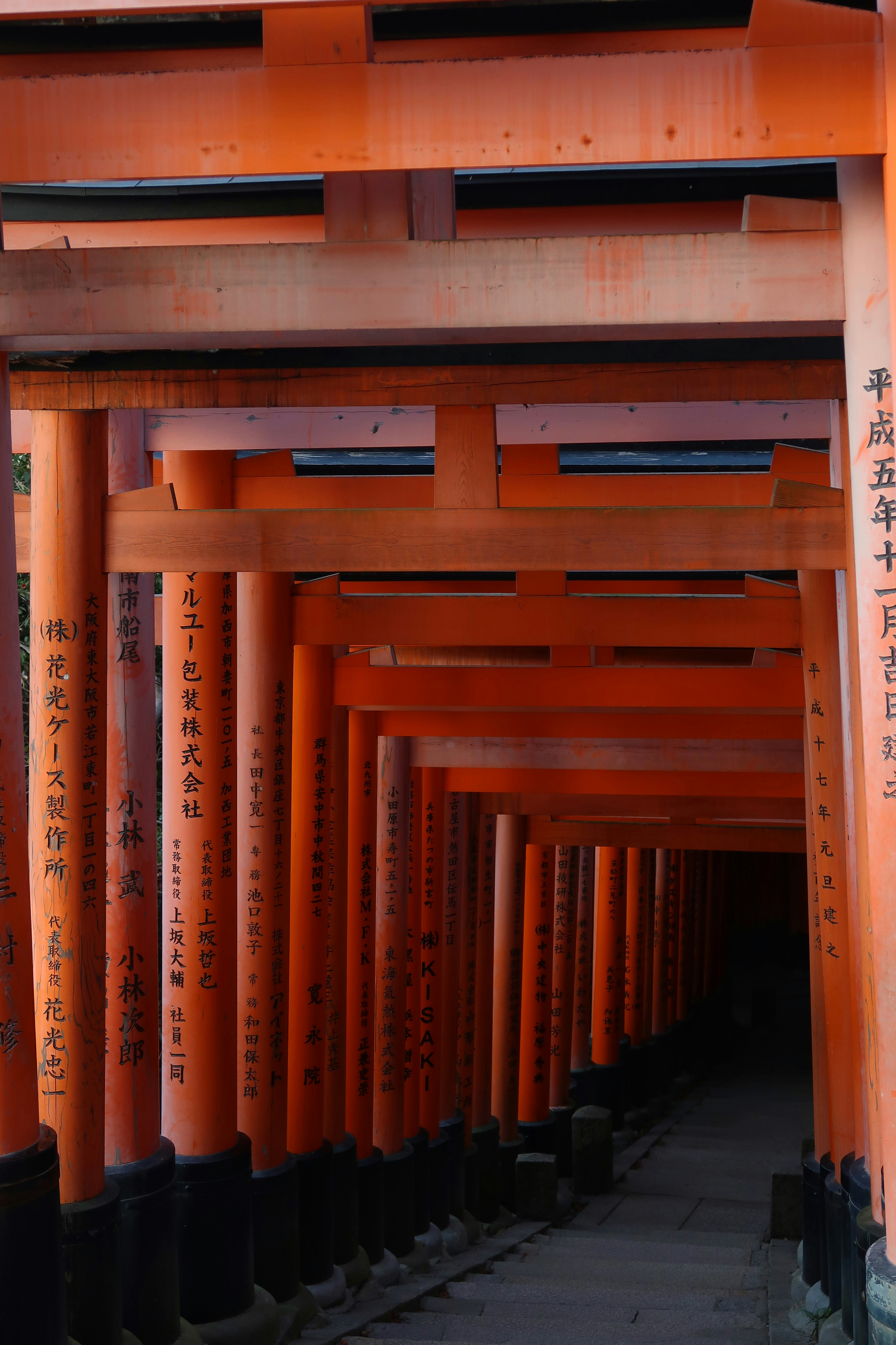 Photo by raquelbolas_