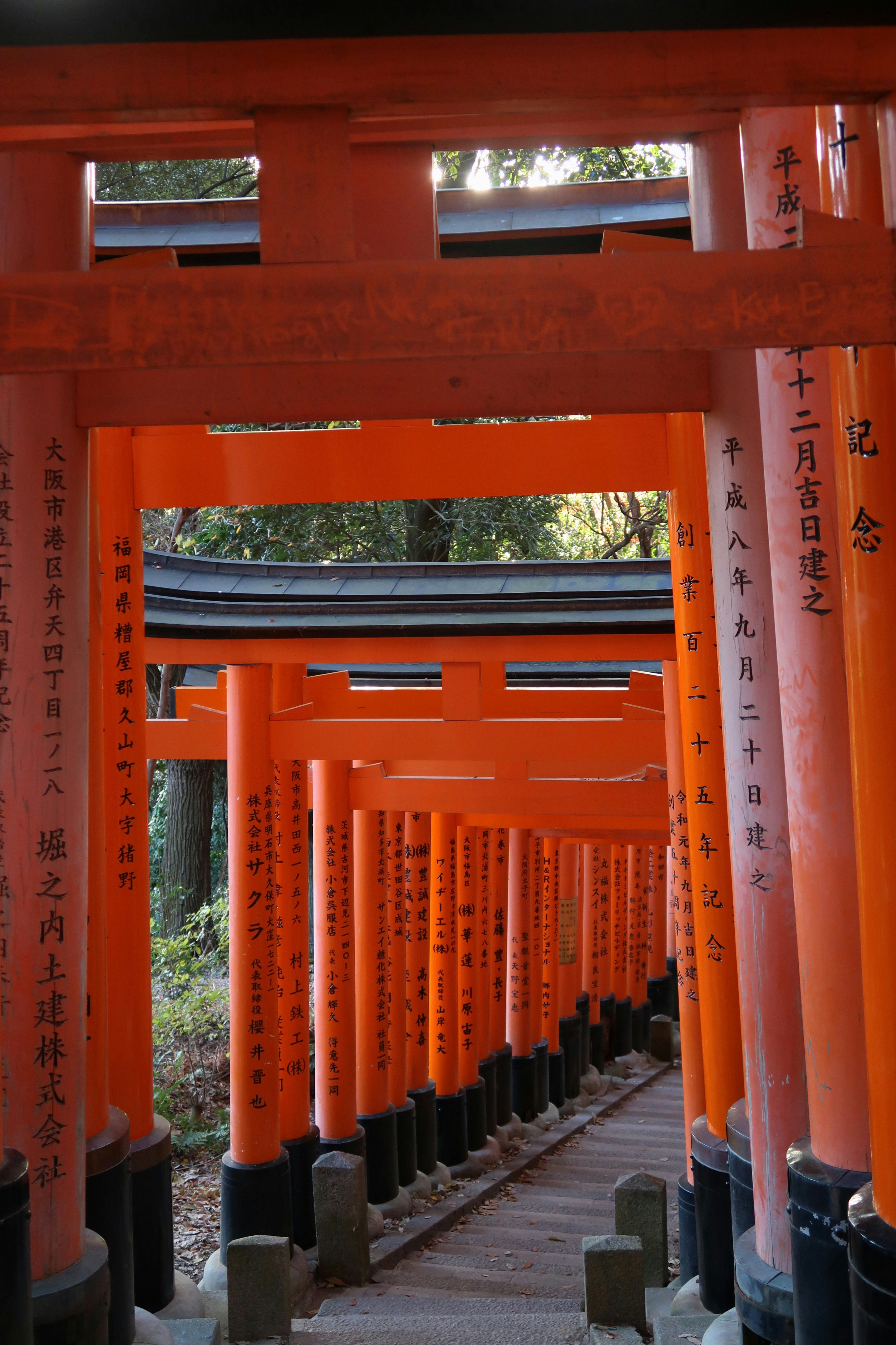 Photo by raquelbolas_