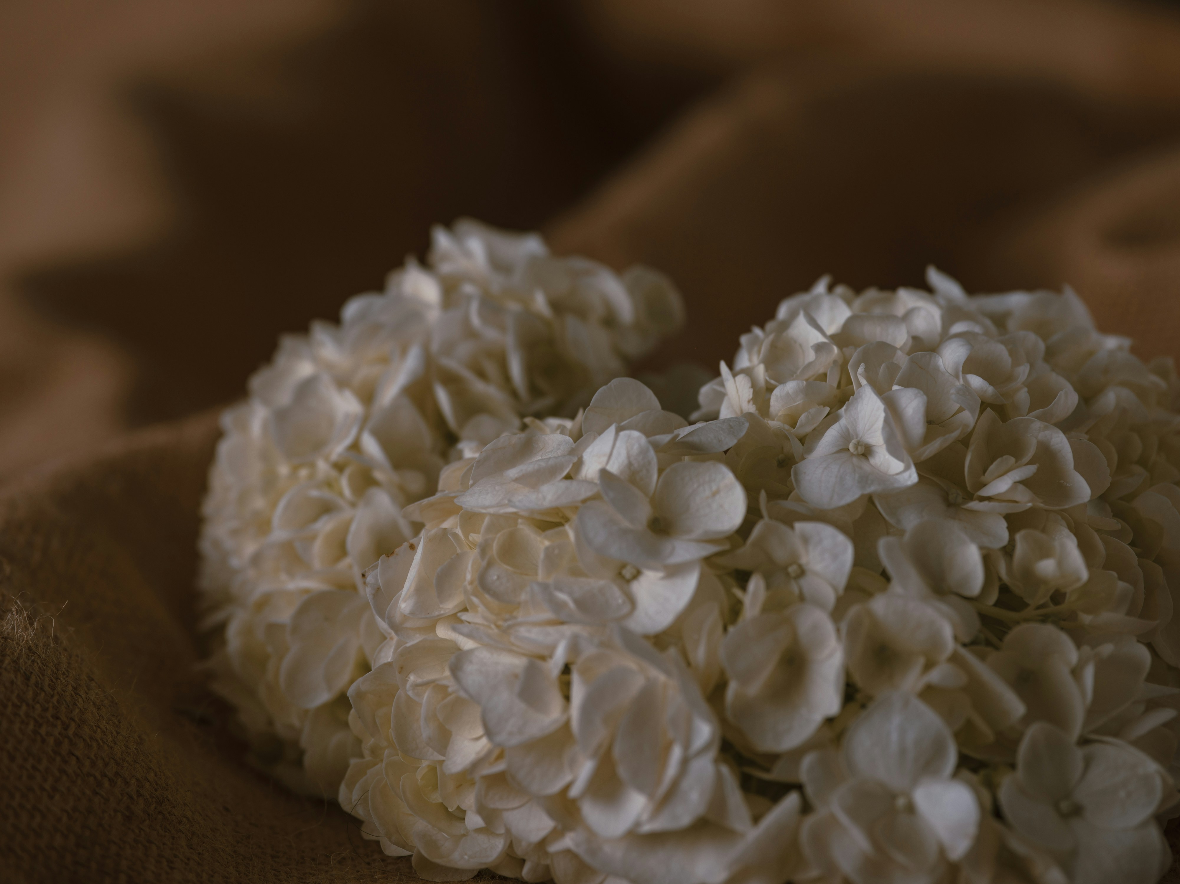 un ramo de flores blancas encima de una cama