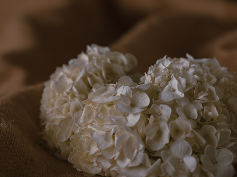 a bunch of white flowers sitting on top of a bed