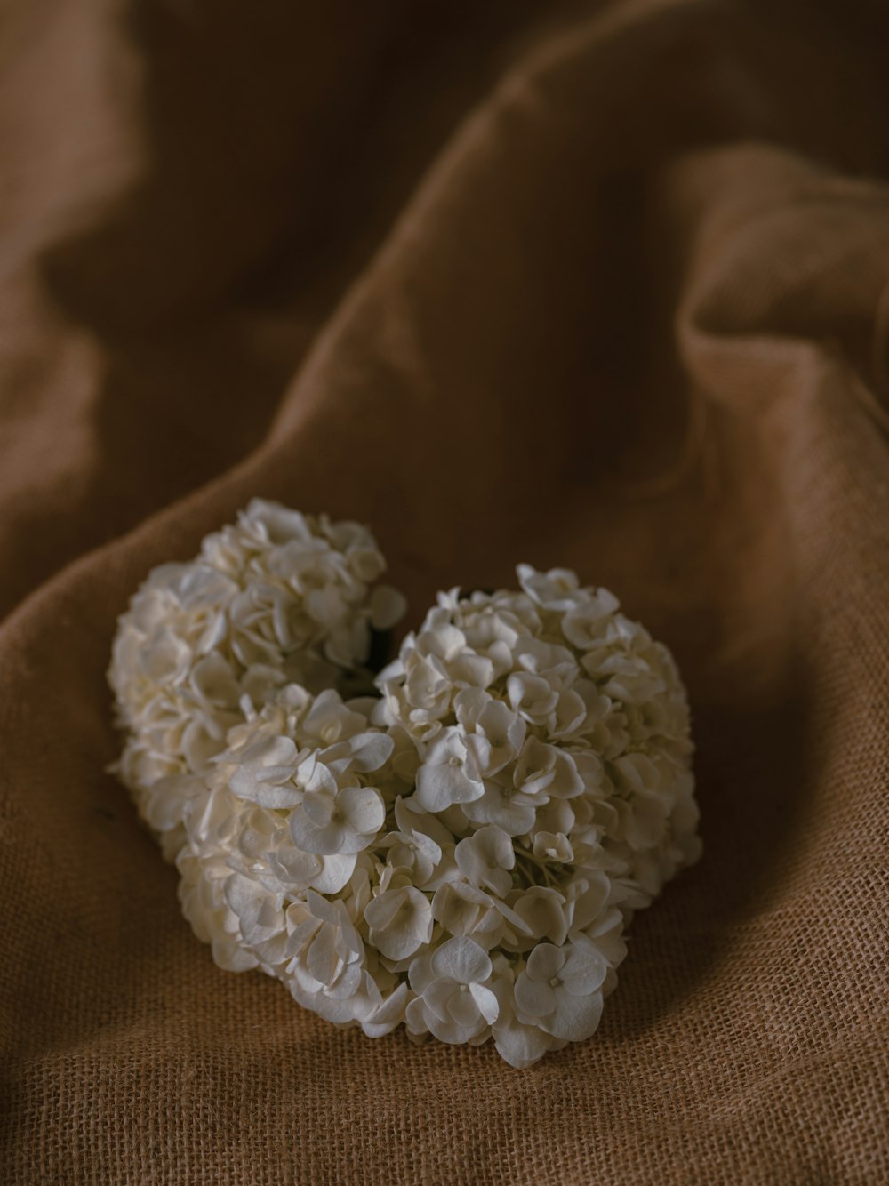 a bunch of white flowers on a brown cloth