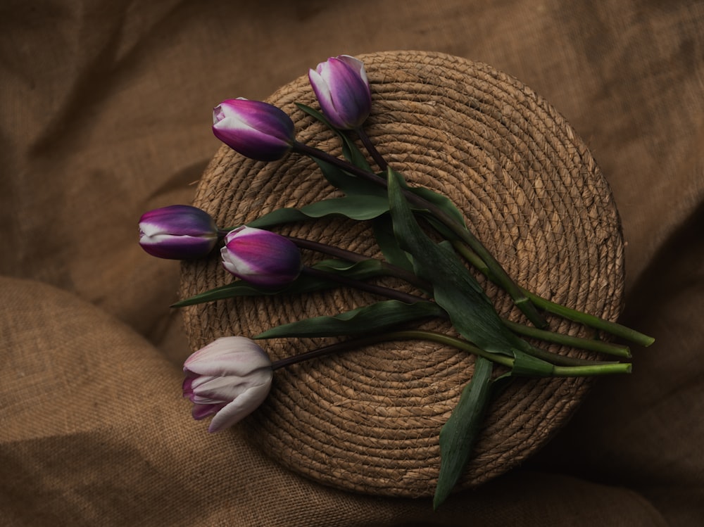 three purple and white tulips on a brown cloth