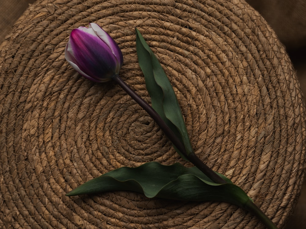 a single purple tulip sitting on top of a woven mat