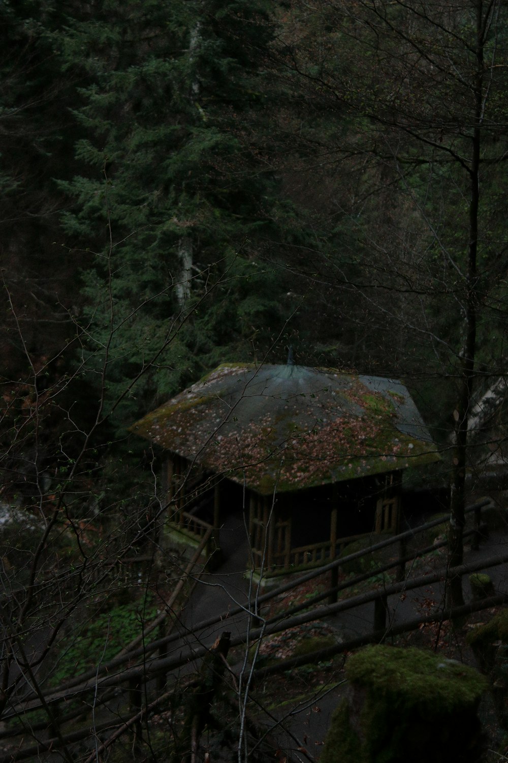 a small building in the middle of a forest