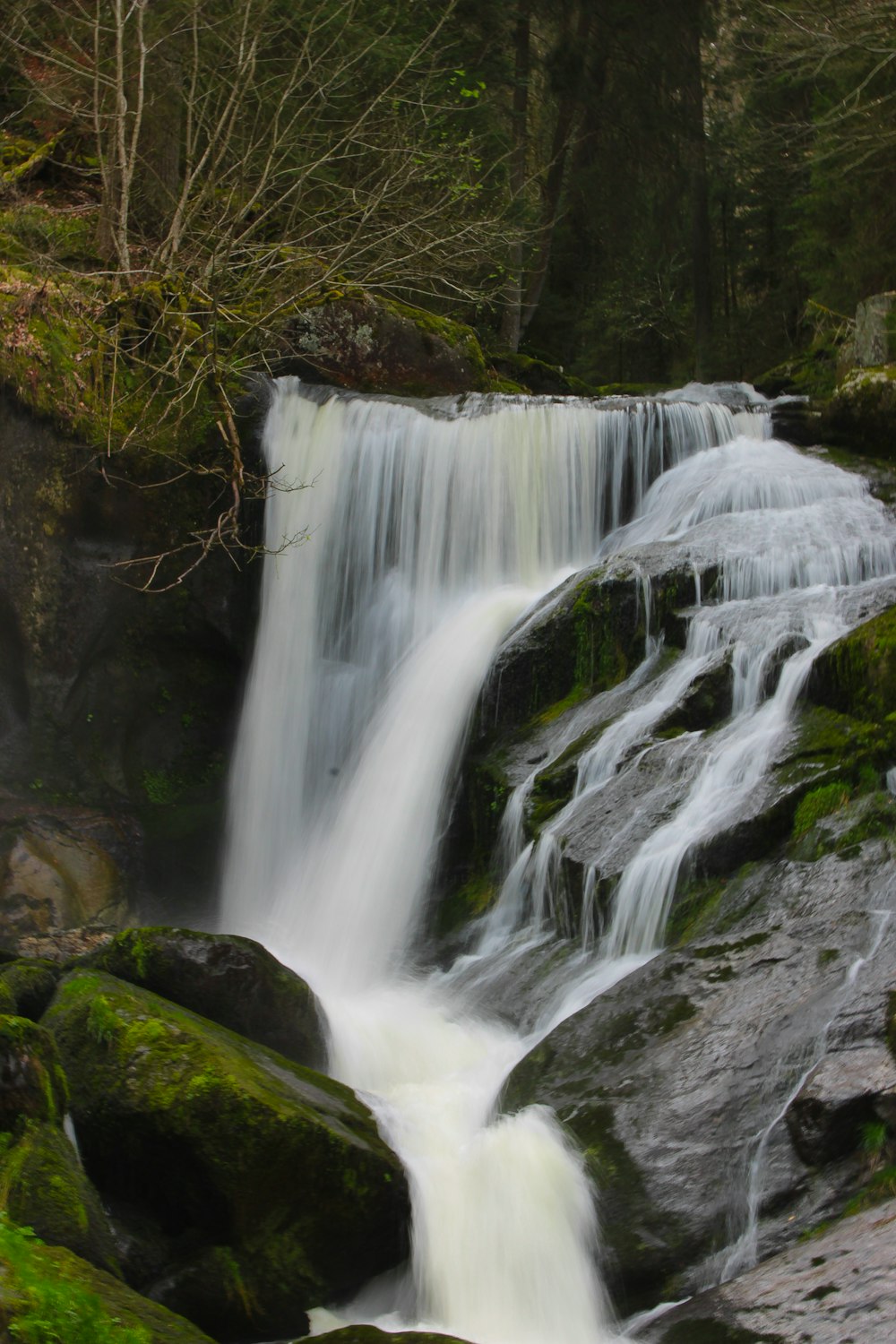 a small waterfall in the middle of a forest