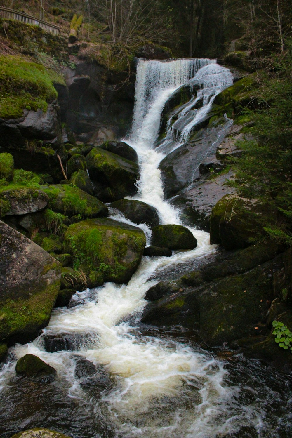 a small waterfall in the middle of a forest