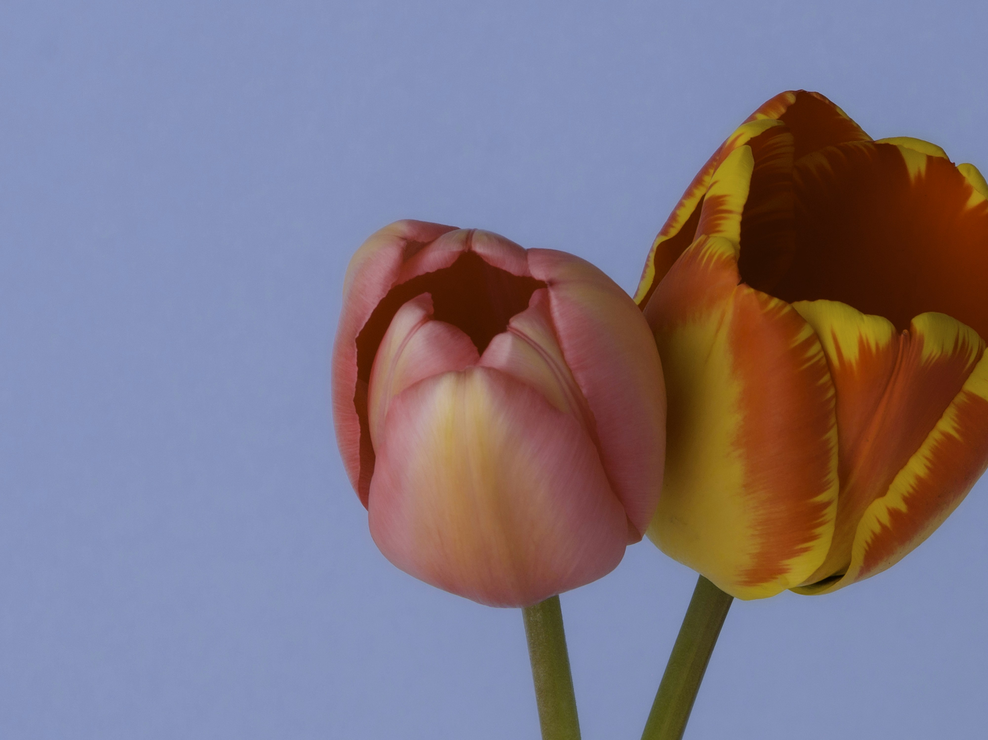 Photo by kierinsightarchives