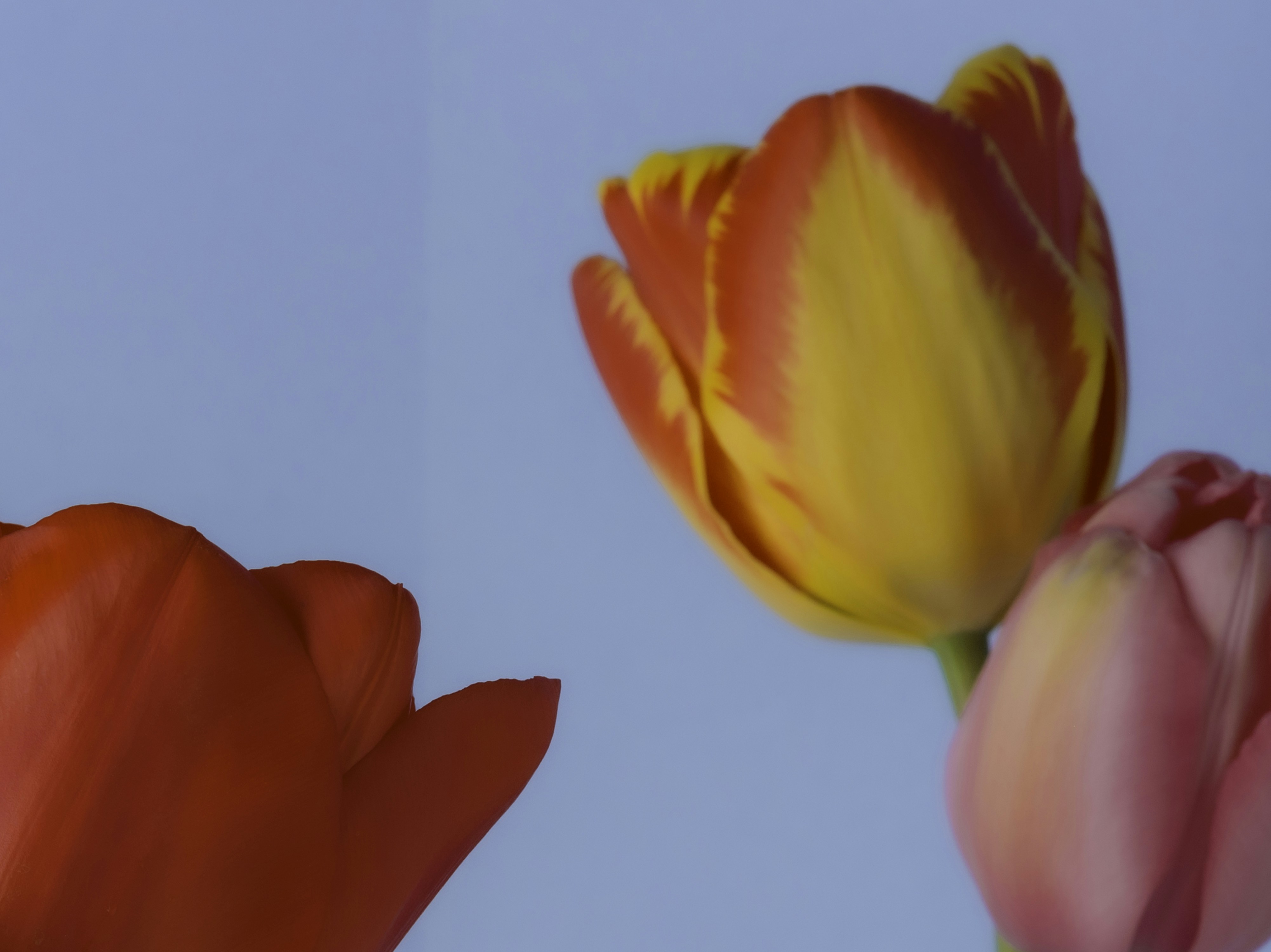 Photo by kierinsightarchives